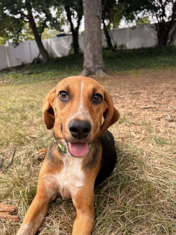 Viviane Belle photo 1