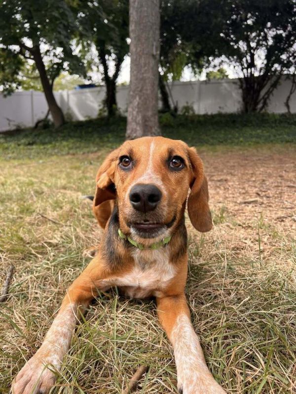 Viviane Belle thumbnail 2