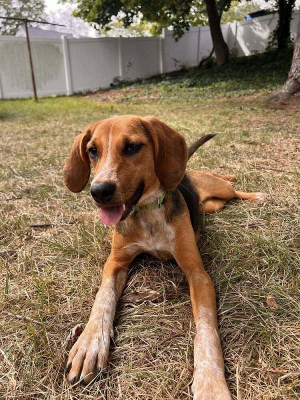 Viviane Belle thumbnail 3