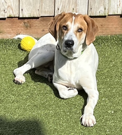 Benny