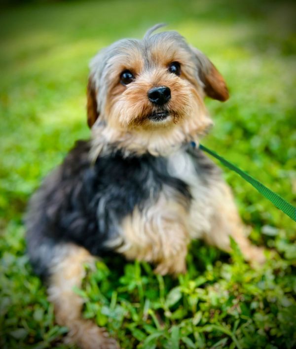 Bubbles Jul thumbnail 2