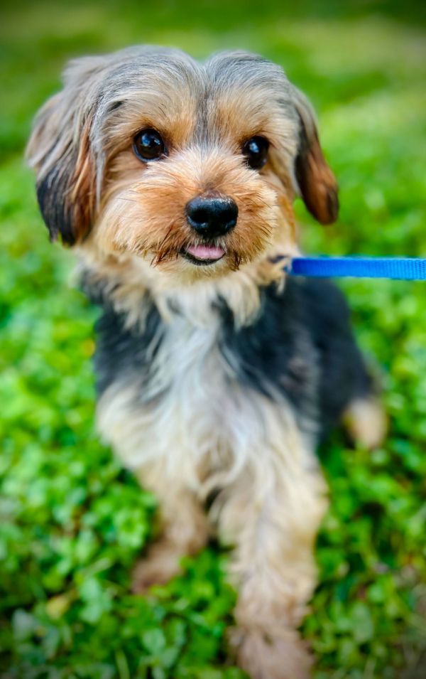 Bubbles Jul thumbnail 3