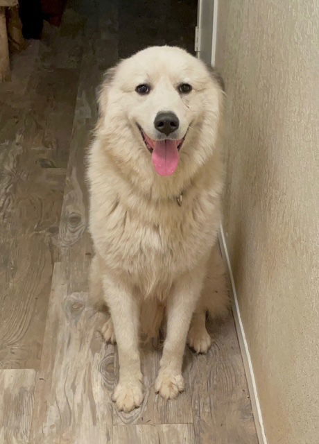 Duke