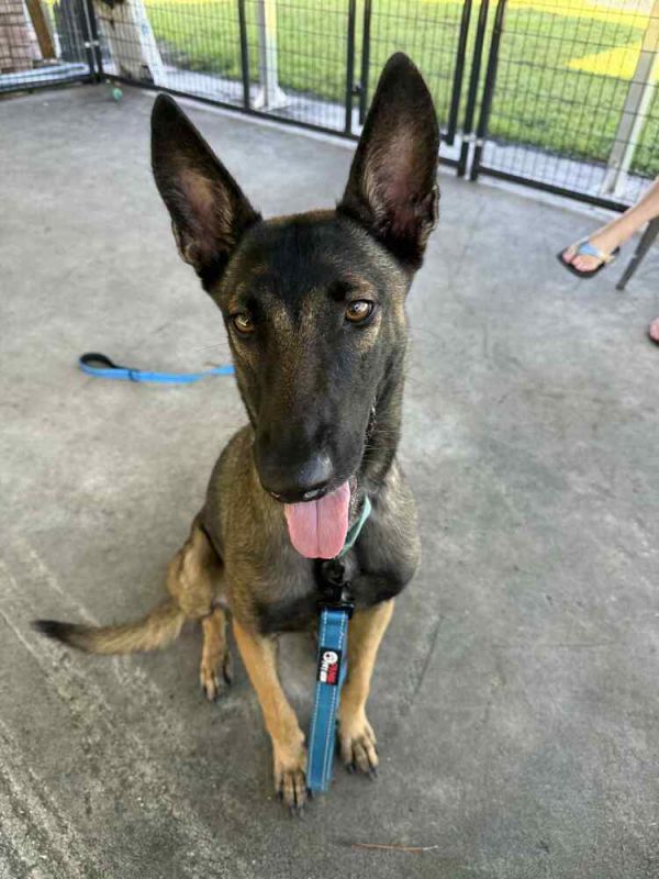 Calla  Located In photo 1