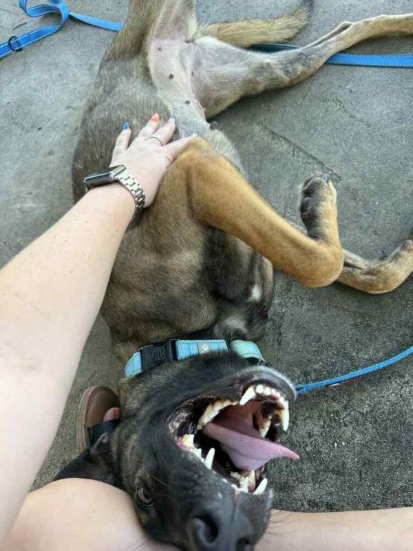 Calla  Located In thumbnail 2