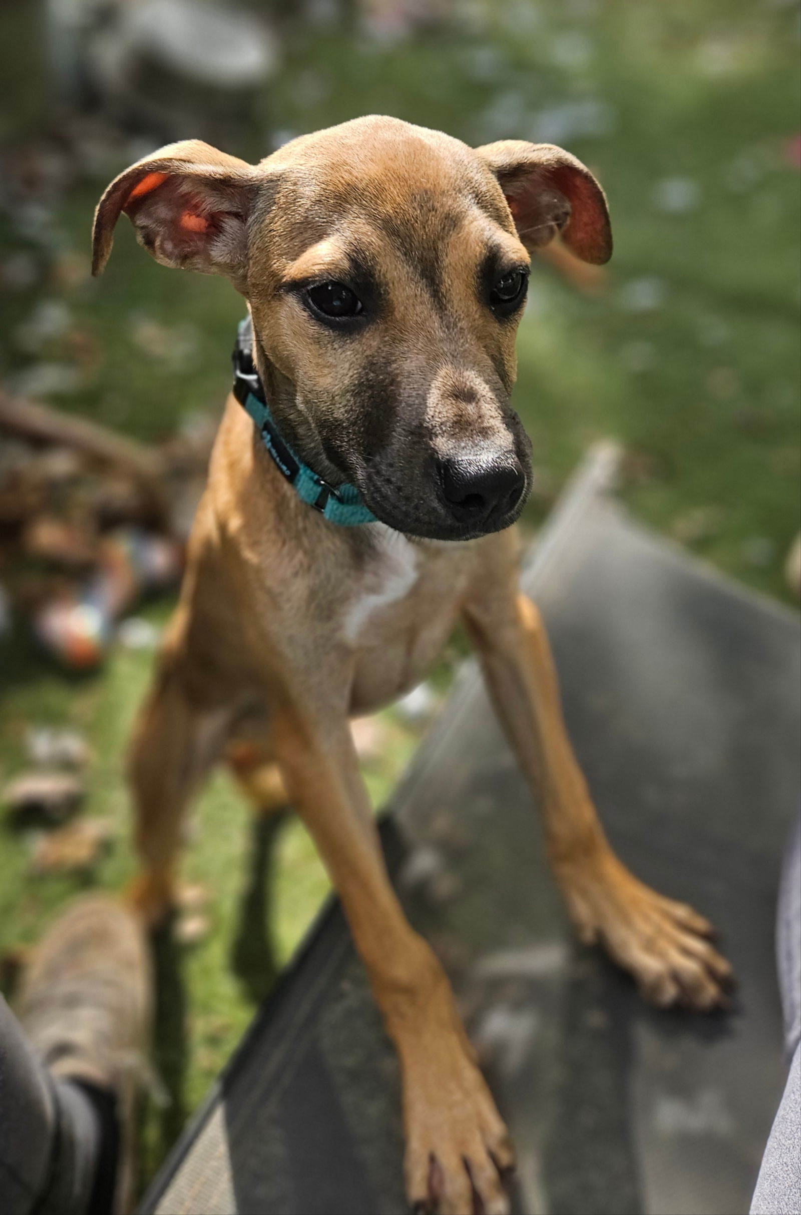 SUZIE