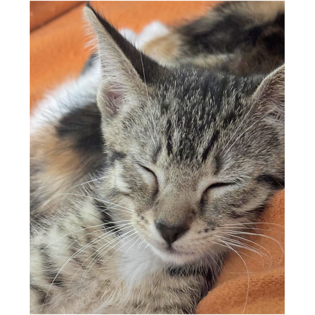 Eleanor