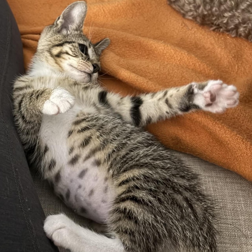 Eleanor