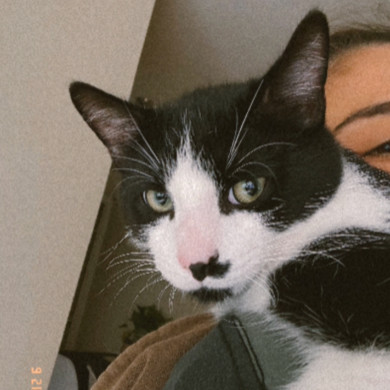Milo Miquelot (bonded w/Mate Miquelot)