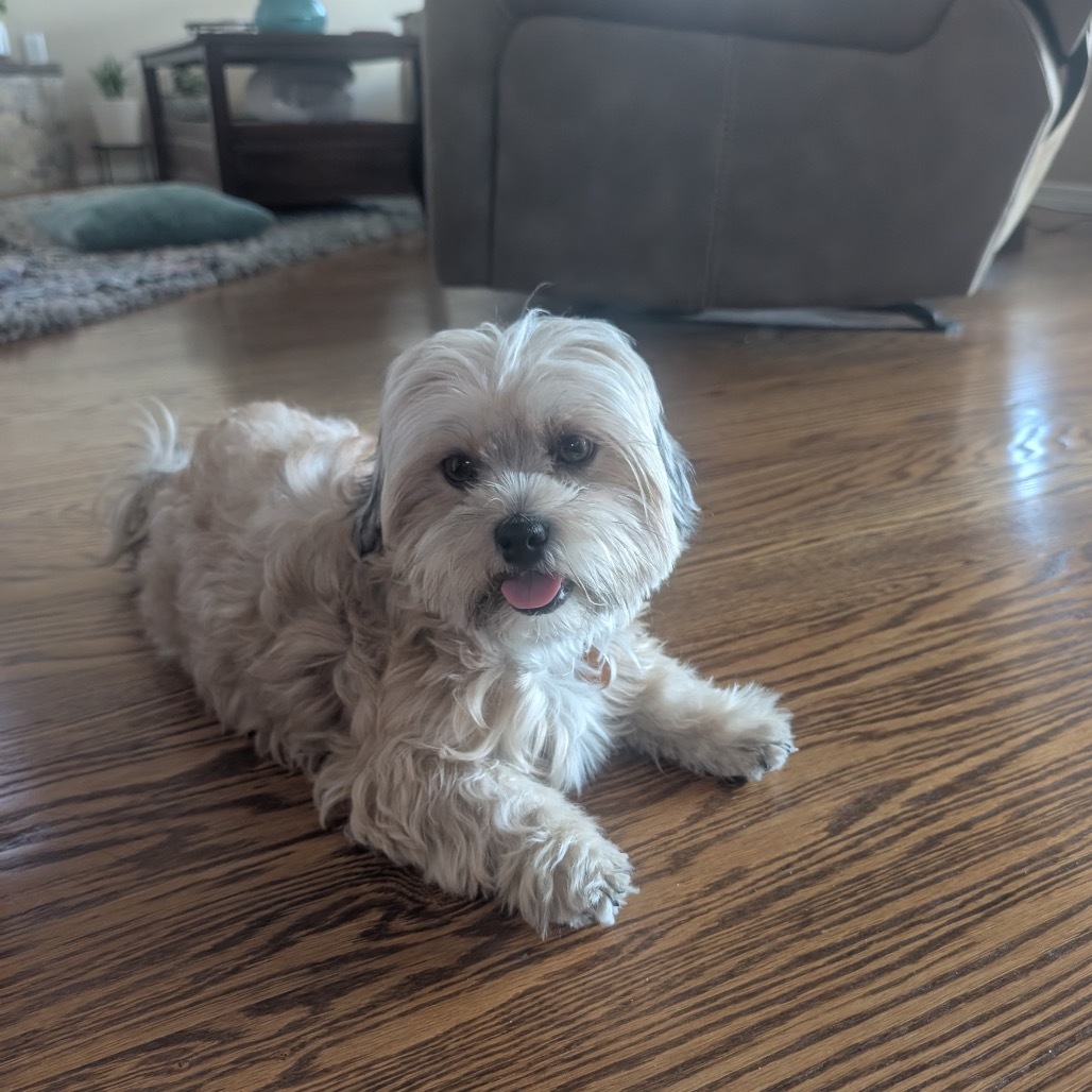 Ruby