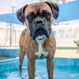Marty A2205941