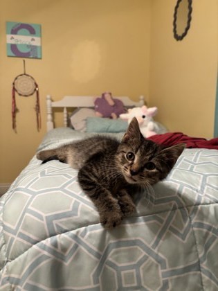 Baxter