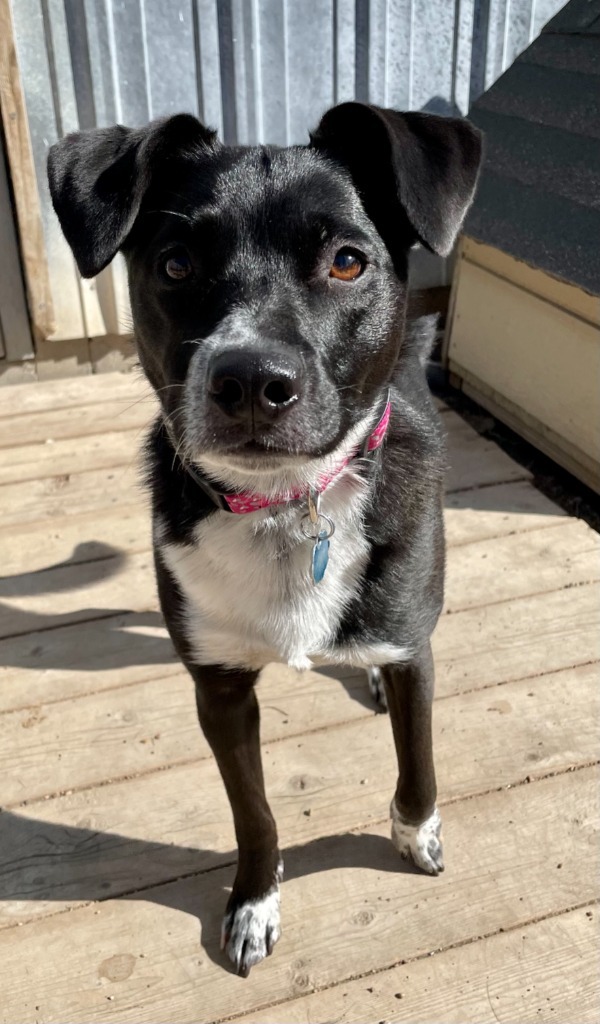 Gigi