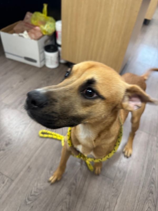 Munchkin thumbnail 2