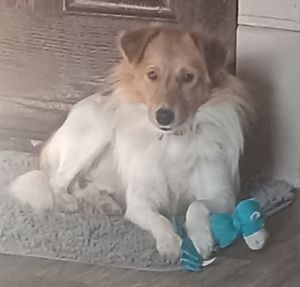 Duke
