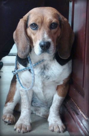 Lola