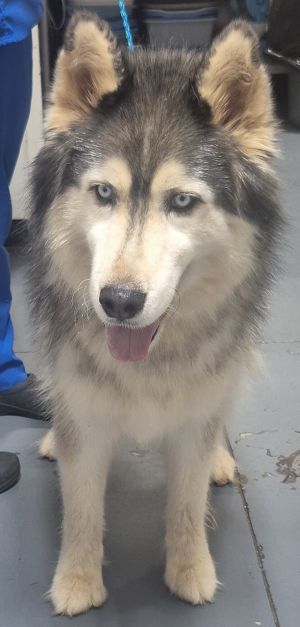 25-10-2822 Kona