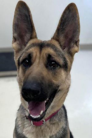 Maggie