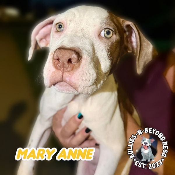 The Chicks Litter: Mary thumbnail 5