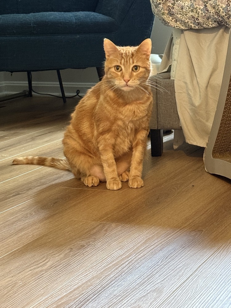Charlie