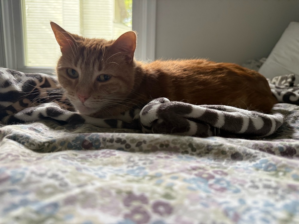 Charlie