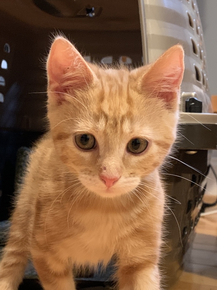 Charlie