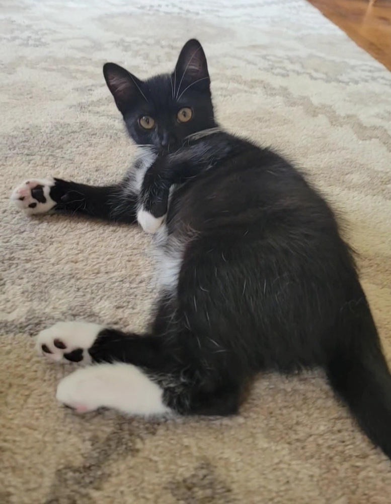 Nutmeg