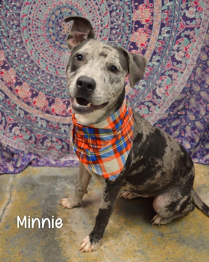 Minnie
