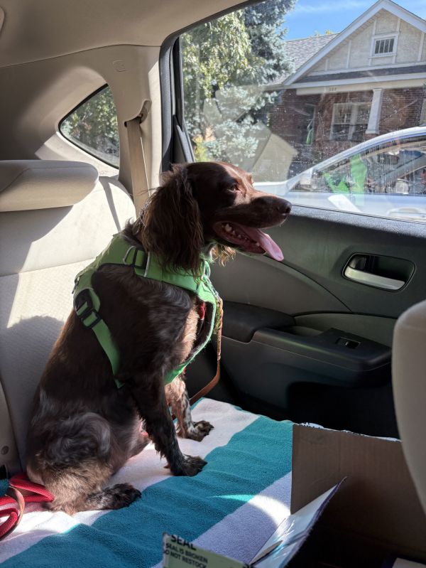 Coarchibald Archie thumbnail 2