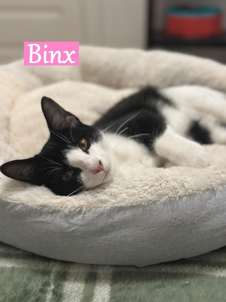 Binx