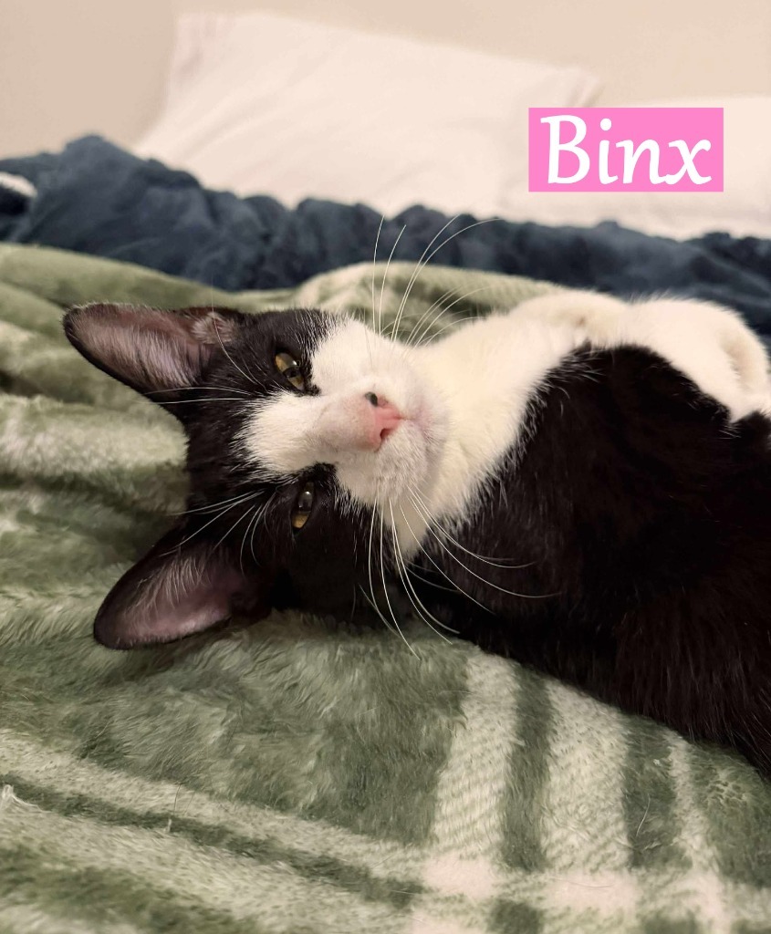 Binx