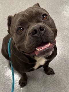 Spike Yrly thumbnail 2