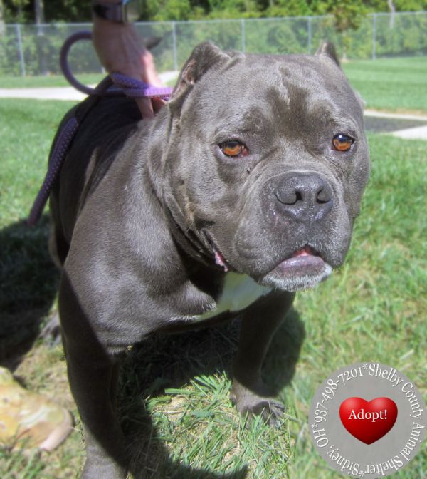 Spike Yrly thumbnail 3