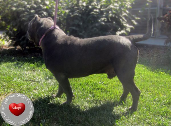 Spike Yrly thumbnail 4