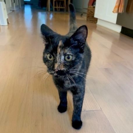 Osmond Siblings: Marie (16633)