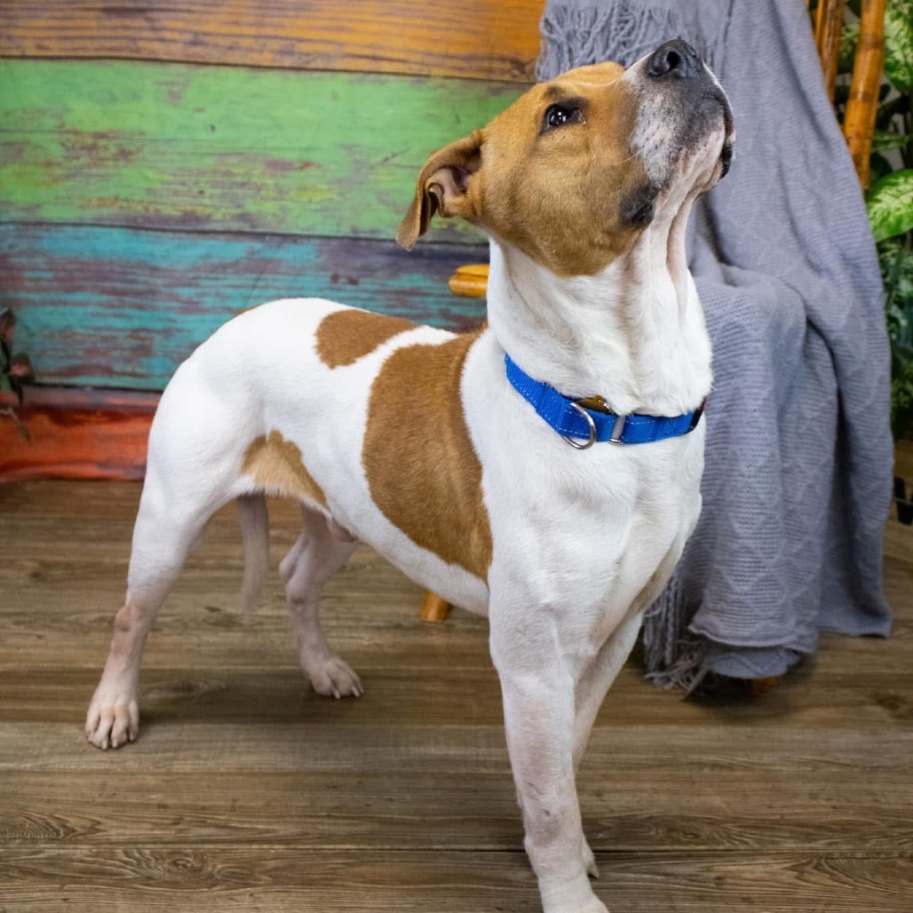 J.R. Cash (Sponsored)