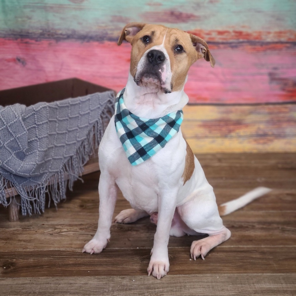 J.R. Cash (Sponsored)