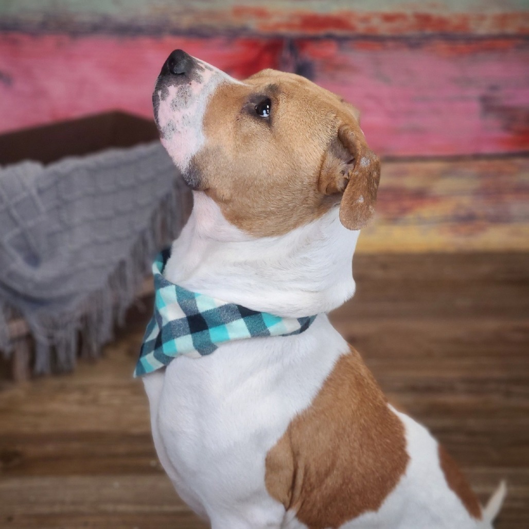 J.R. Cash (Sponsored)