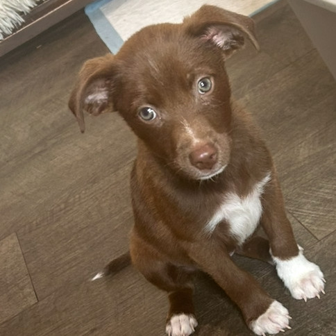 Maggie