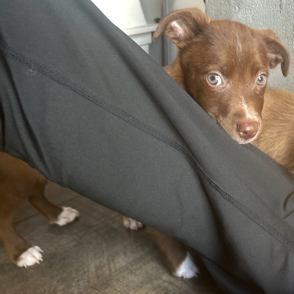 Maggie