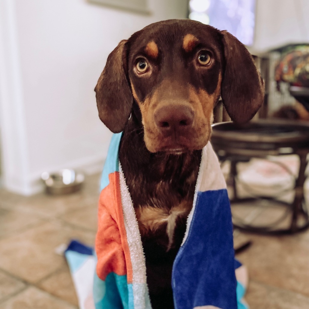 October (Tobi)