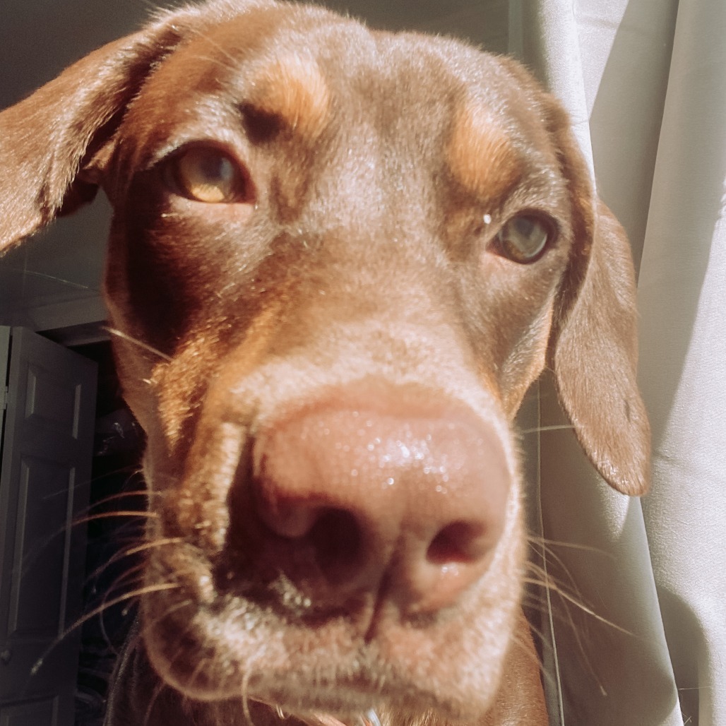 October (Tobi)