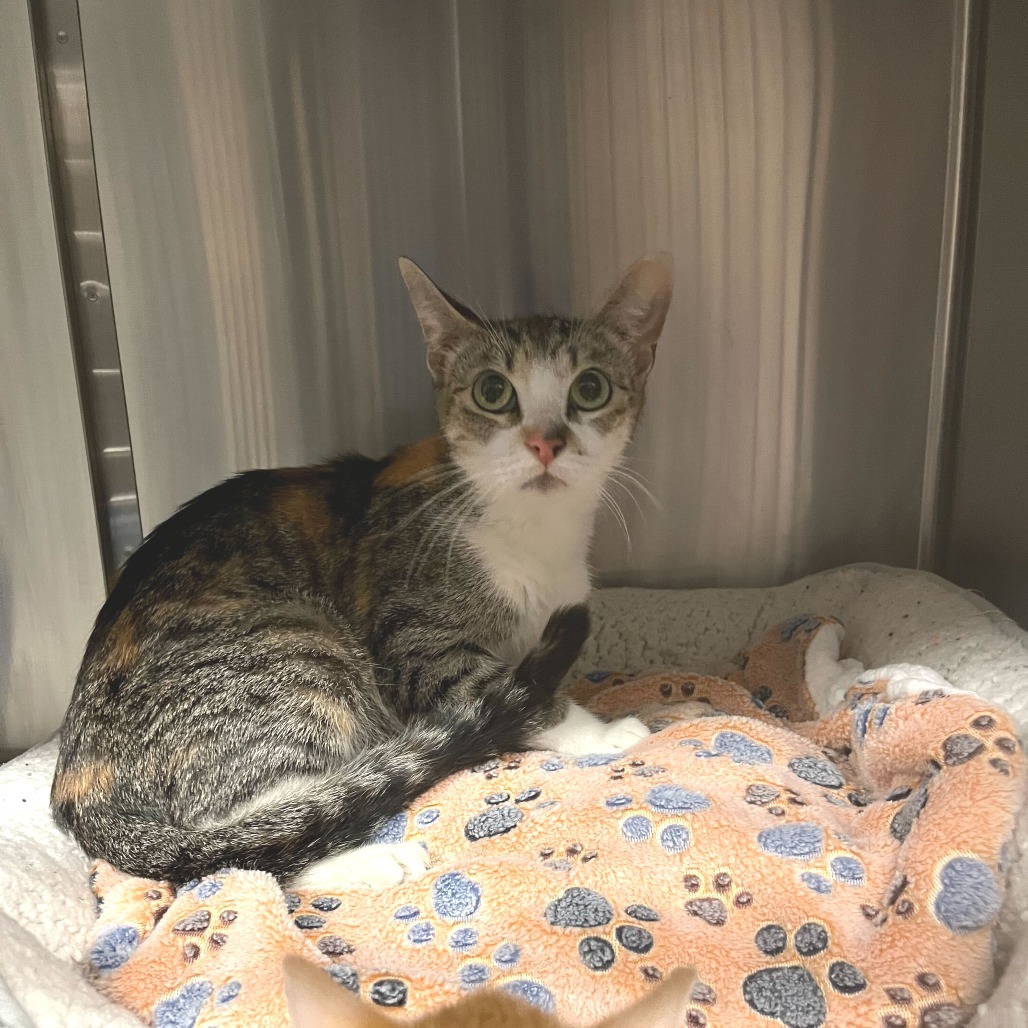 Janet from Another Planet