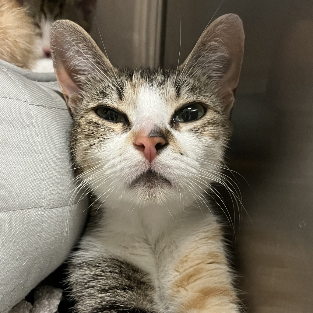 Janet from Another Planet