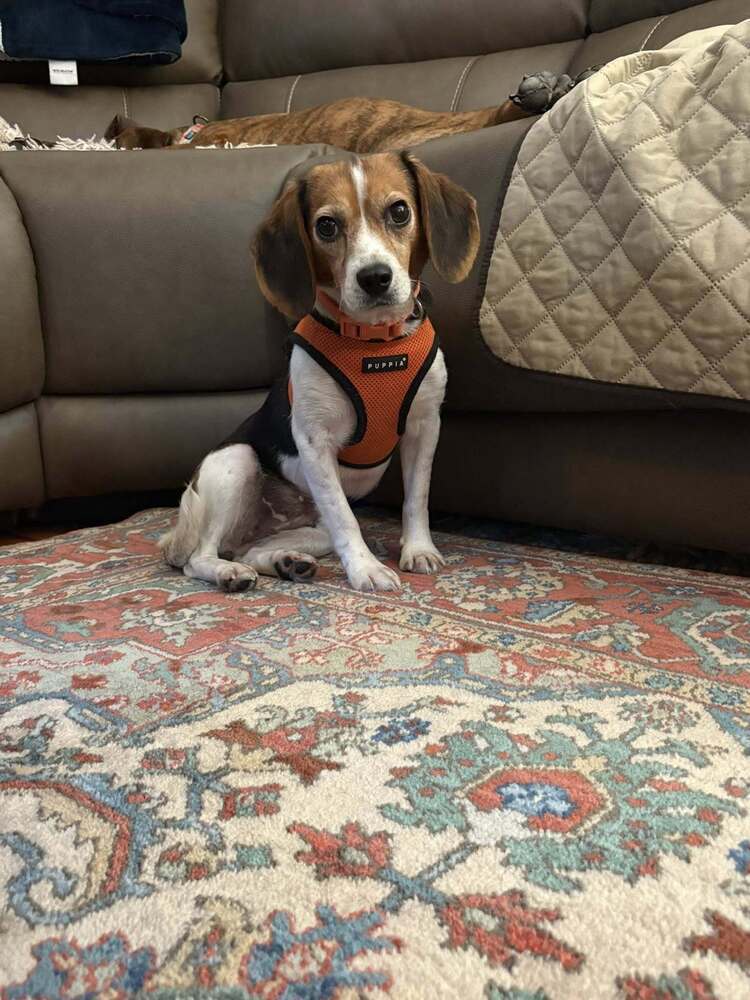 Tilly