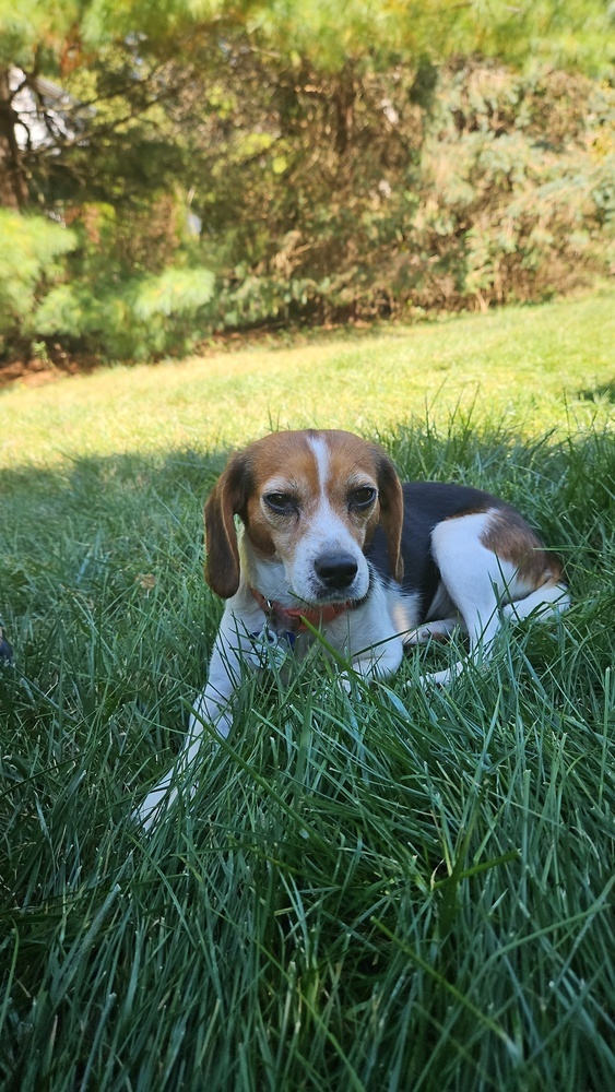 Tilly