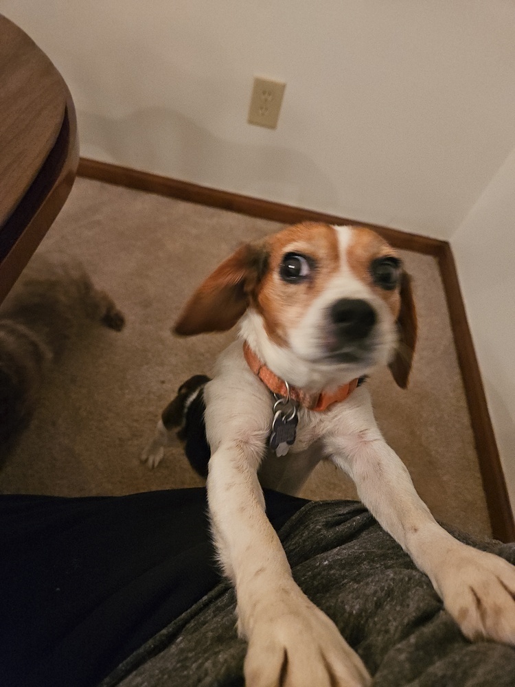 Tilly