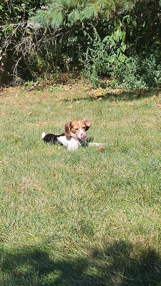 Tilly