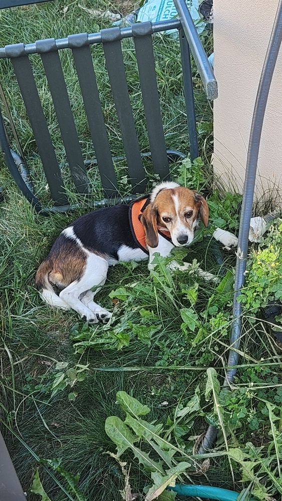 Tilly