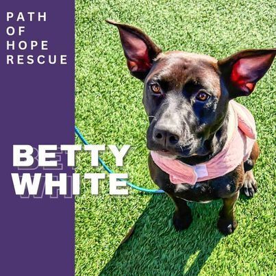 Betty White thumbnail 2